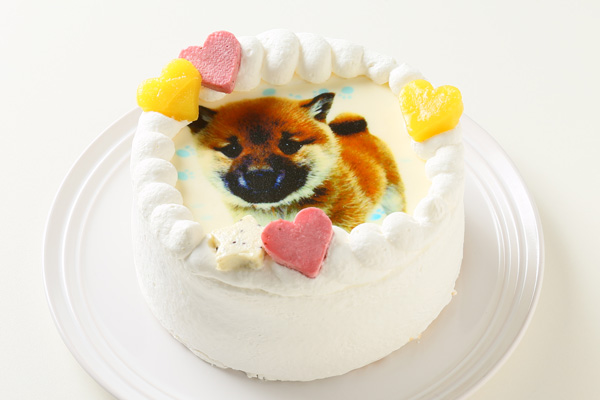 わんちゃん用EWP対応 中型犬用 ワンワン写真ケーキ 5号 15cm 2