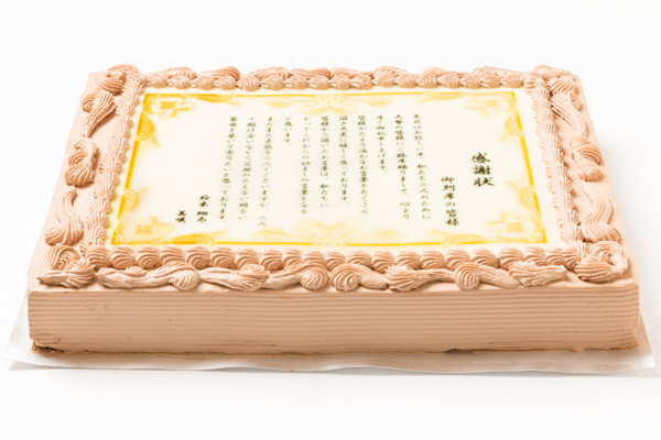vi[lp p[eBpӏP[L 30cm×40cm