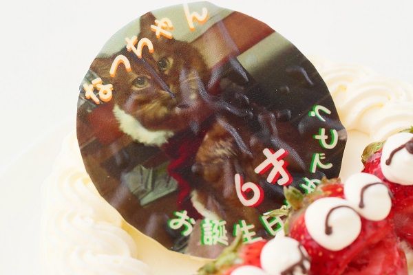 純生苺ショート　写真ケーキ　フォトケーキデコレーション　4号　12cm　ギフトに最適【当日OKです】 6