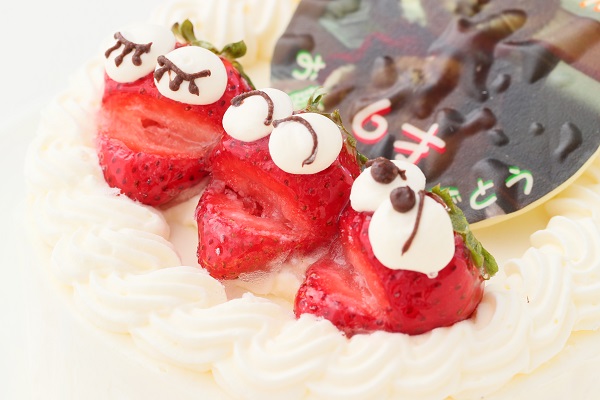 純生苺ショート　写真ケーキ　フォトケーキデコレーション　4号　12cm　ギフトに最適【当日OKです】 7