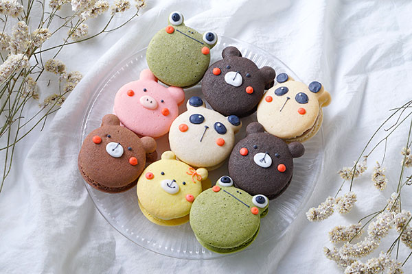 動物マカロン 9個セット ココマカロン Cake Jp