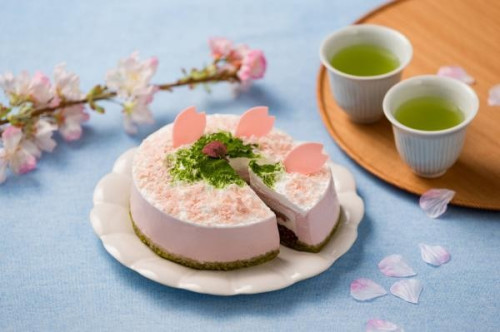 　桜のムースケーキ　抹茶　和風　桜