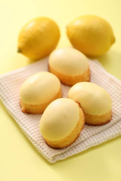 Lemon cake【レモンケーキ】5個入り