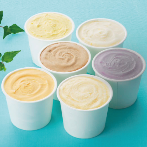 【送料無料】宮崎県産日向夏アイス 完熟宮崎マンゴーアイス食べ比べ6個セット