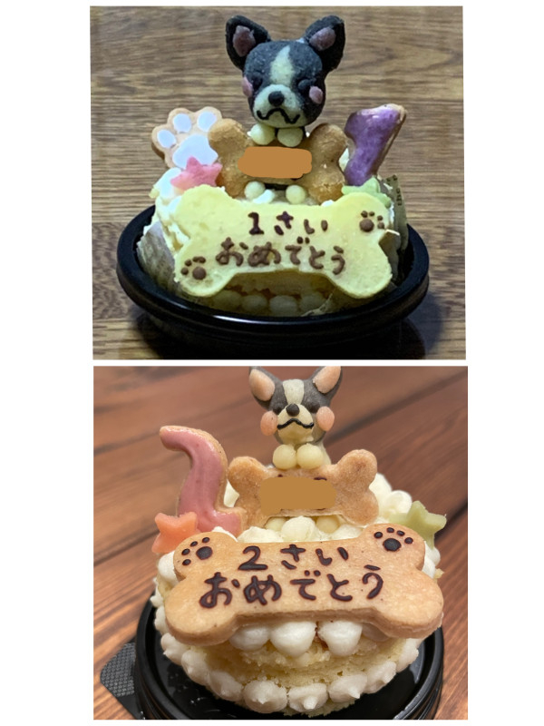 犬用 愛犬マスコットケーキ 米粉スポンジ 6cm わんこケーキ サポートgioia Cake Jp