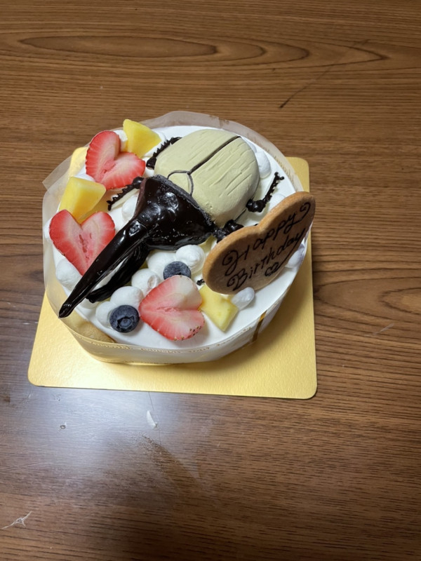 立体アイスクリームケーキ（ご希望のデザイン） 5号 15cmの口コミ