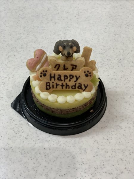 犬用 愛犬マスコットケーキ お肉ケーキ 6cm わんこケーキ サポートgioia Cake Jp